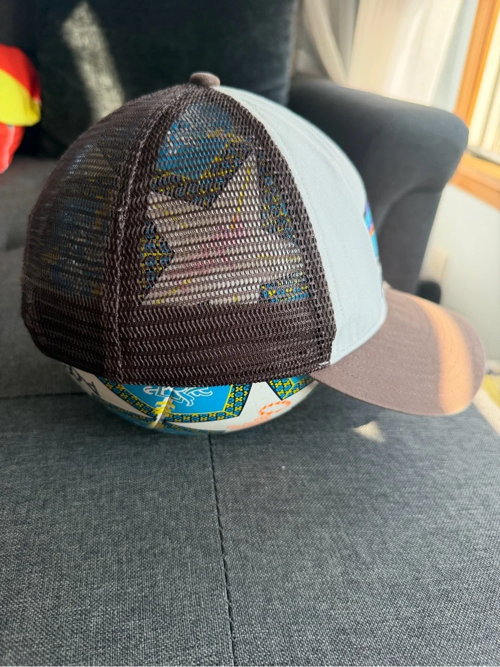 Patagonia Kids Trucker Hat - Brown & Cream with Multicolor Logo